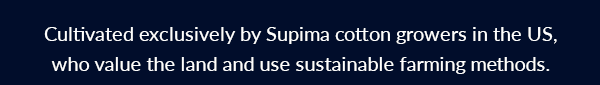 please turn on images to shop